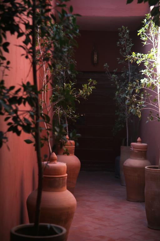 Riad Le Desir Marrakesh Ngoại thất bức ảnh